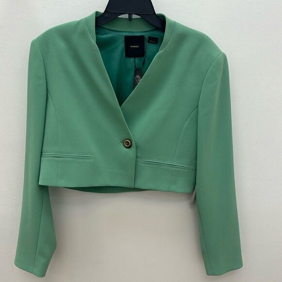 Pinko Blazer - Picture 1 of 8